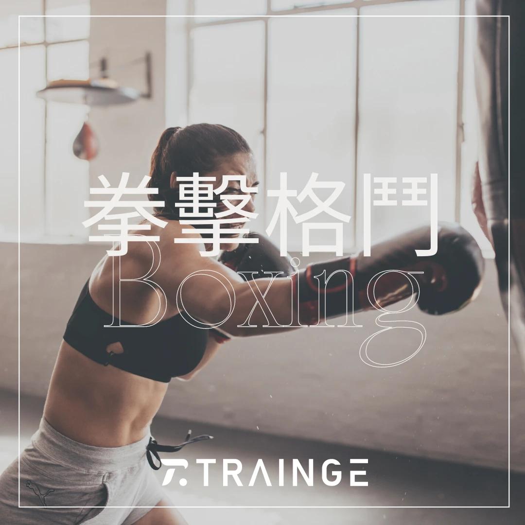 拳擊格鬥 Boxing