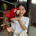 Picture of the user