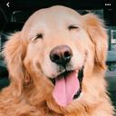 Picture of the user