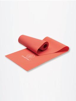 Image of 5.5kgs 珊瑚橘