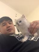 Picture of the user