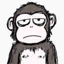 Picture of the user