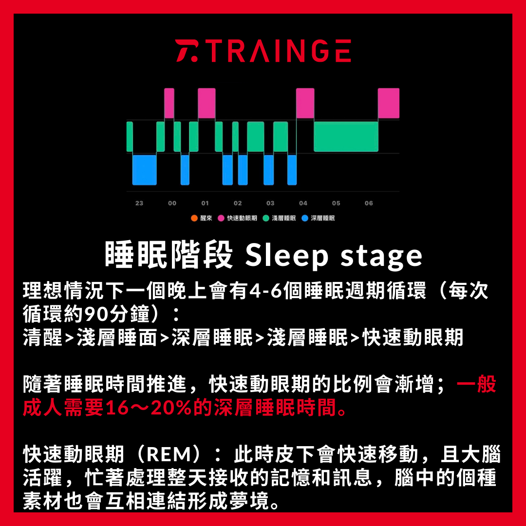 睡眠階段 Sleep Stage